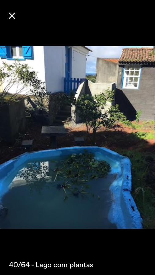 Adega Vakantieboerderij Horta (Azores)