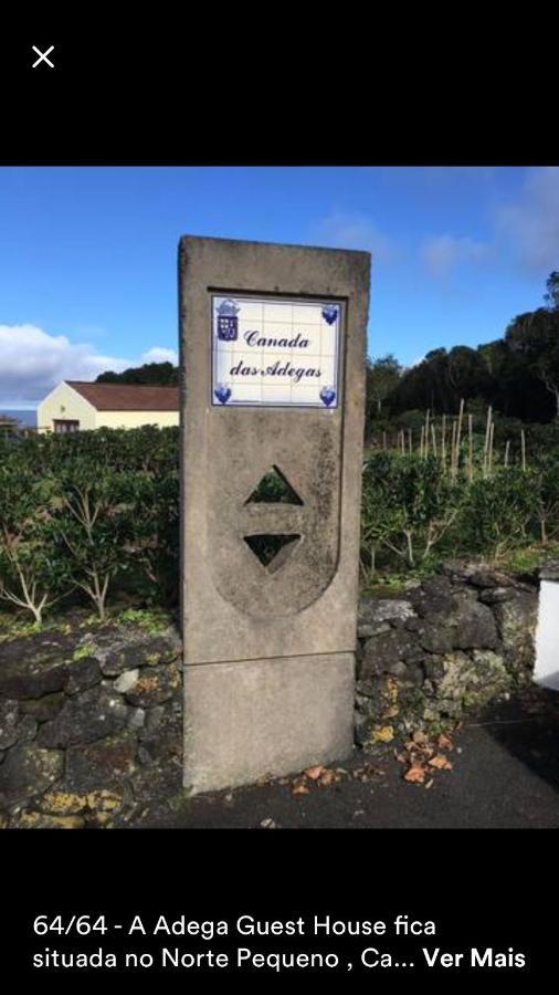 Vakantieboerderij Adega Horta (Azores)